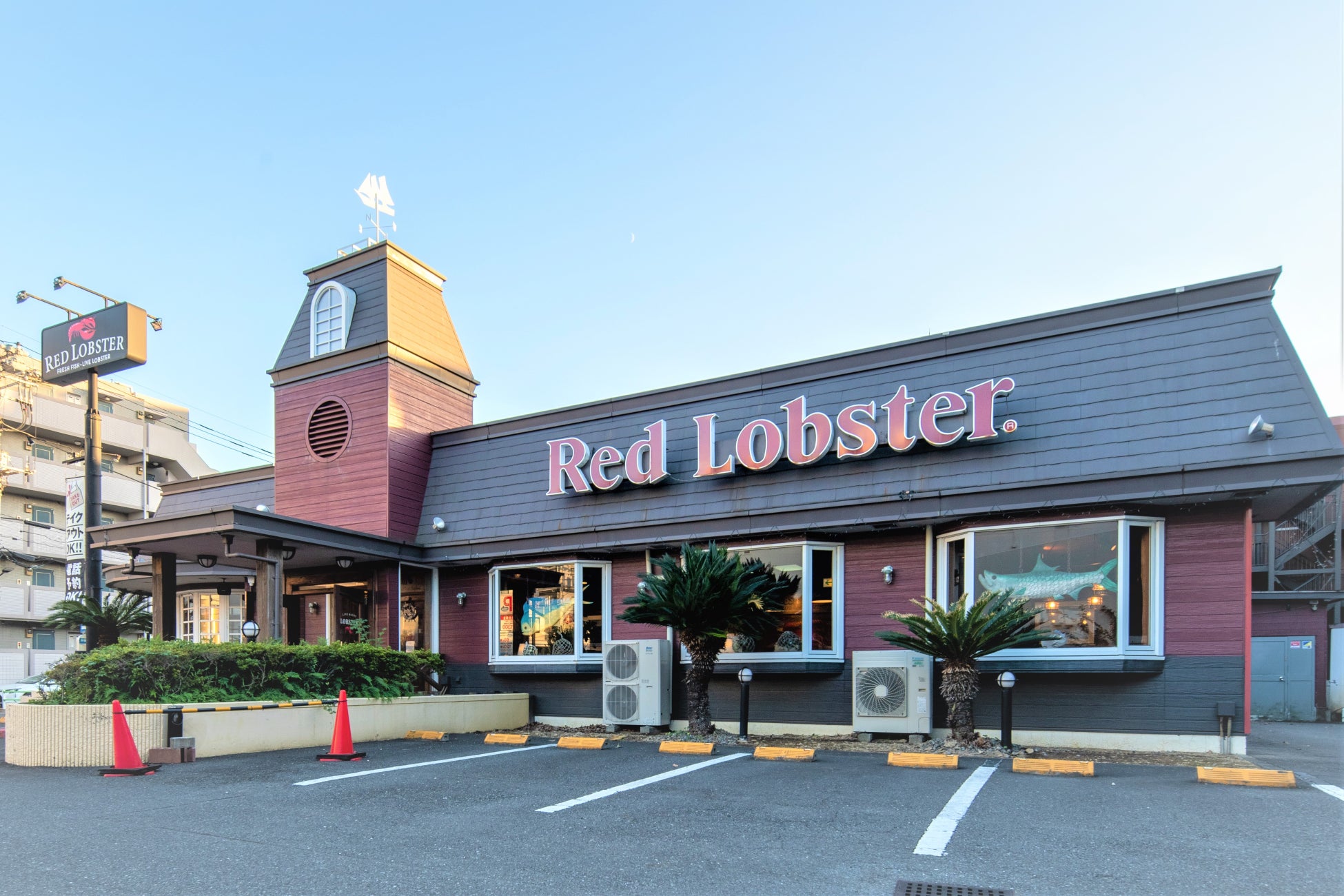 混雑回避と絶品限定海鮮！レッドロブスター上池台店を現地取材