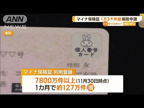 「うっかり失効」が急増中？マイナ保険証に続く「マイナ免許証」本格始動で変わる、運転免許証の有効期限と新ルール
