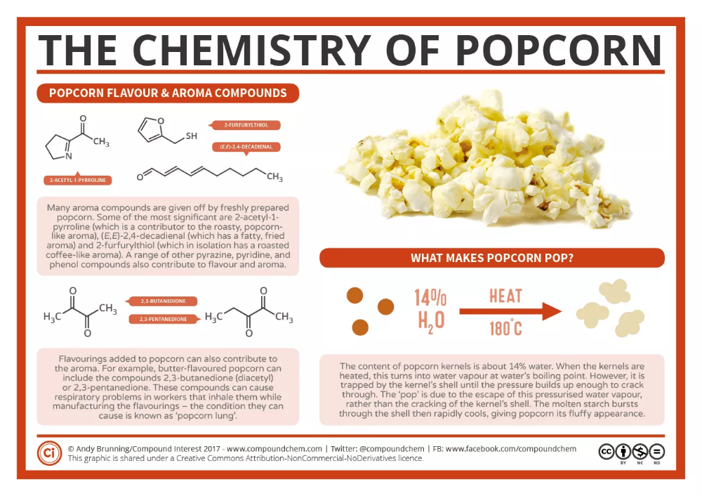 What Popcorn Is Made Of
