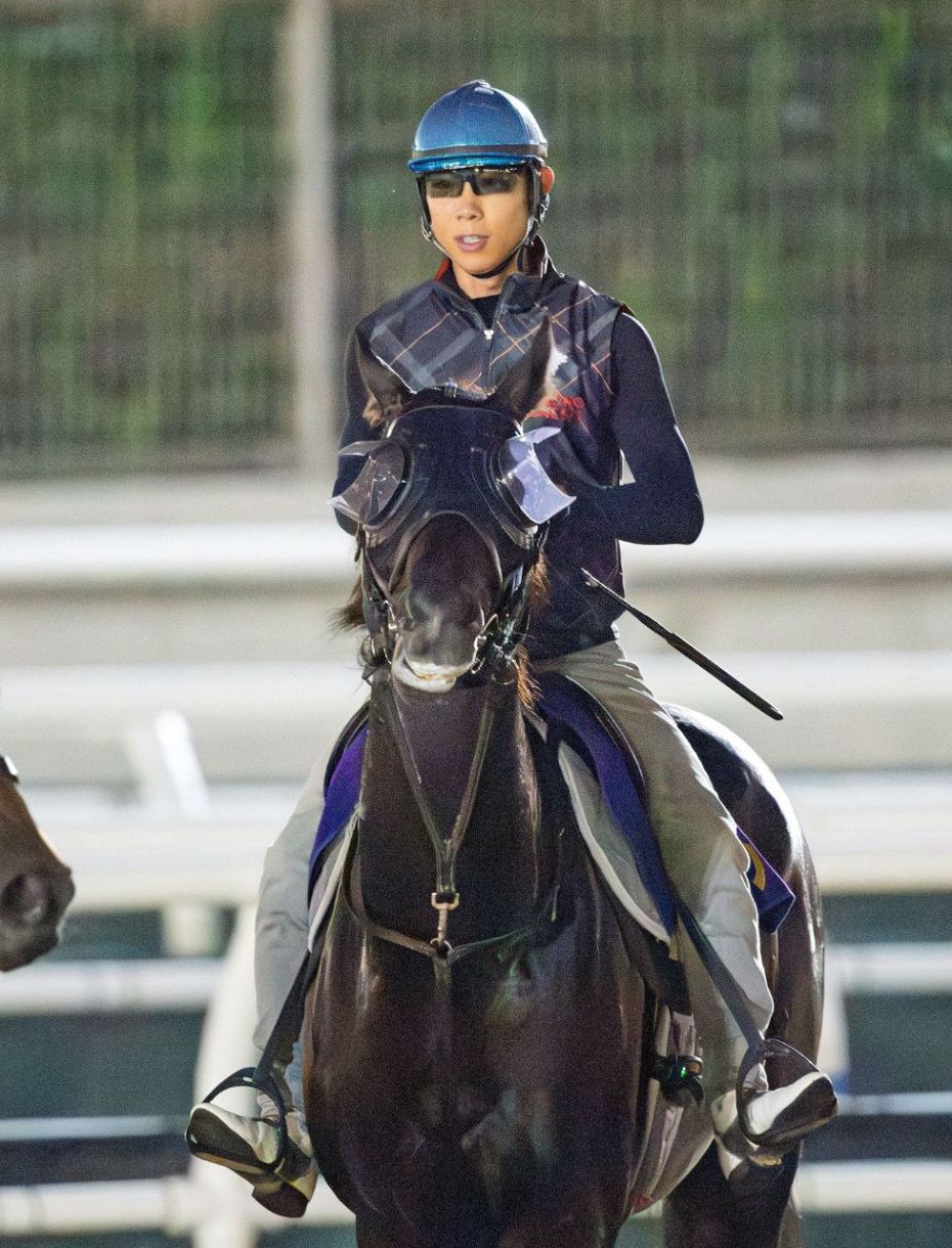 凱旋門賞の騎手で最多勝は誰？武豊ら日本勢の軌跡と現地評価の真相
