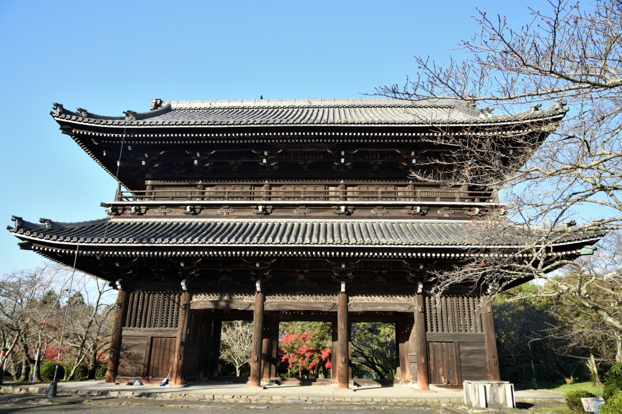 根来寺の真実｜国宝大塔と秀吉焼き討ちの謎を解く【2026最新】