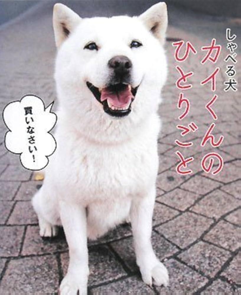 ソフトバンク犬カイくんの死因と現在｜引退理由や2代目息子の活躍を追う