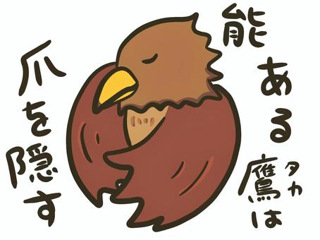 【真相】 能 ある 鷹 は 爪 を 隠す 最新出演情報まとめ #758
