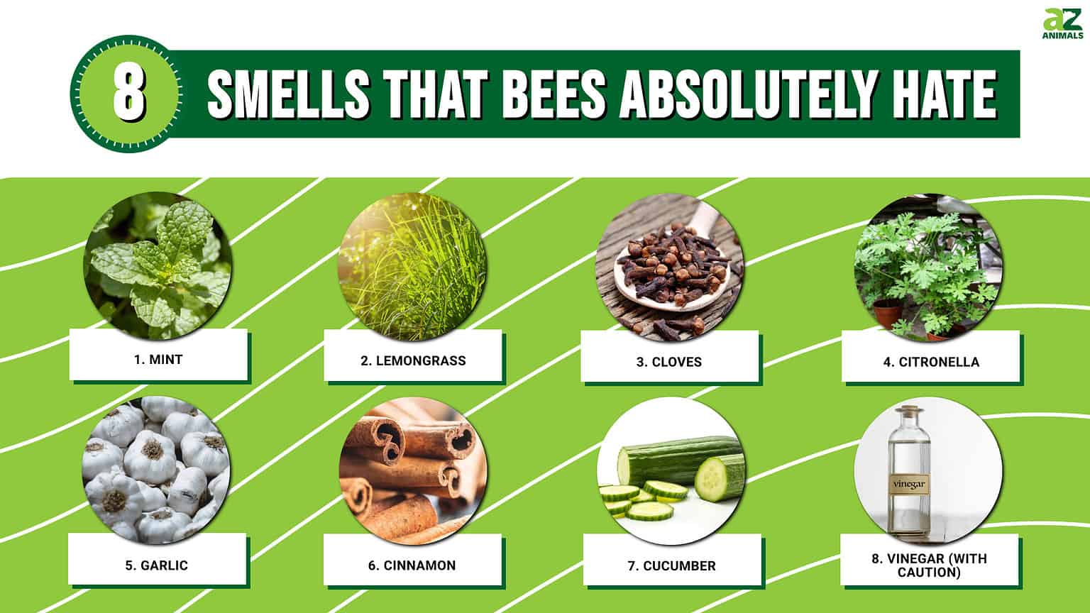 Bees Hate the Smell Of