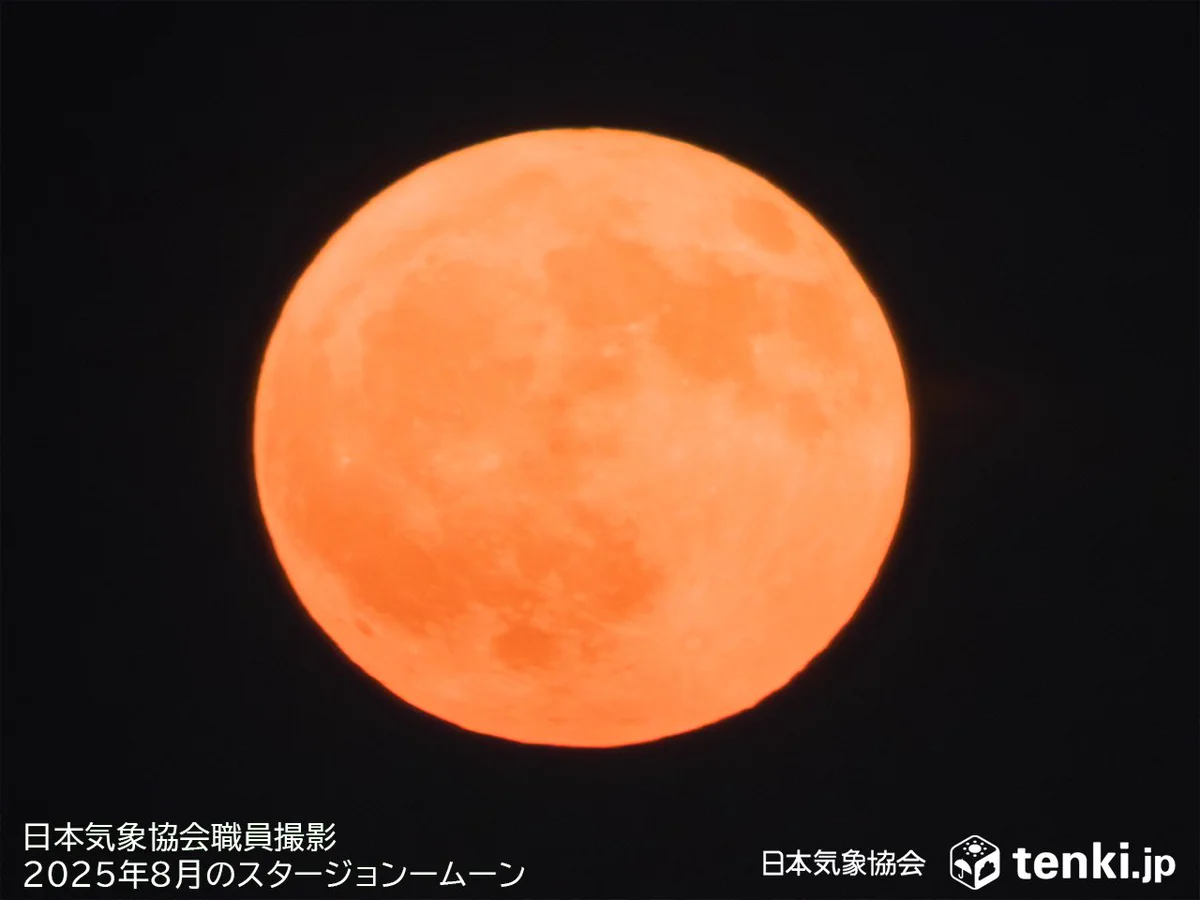 今夜は満月？2026年最新の月齢カレンダーと見頃方角を徹底解説