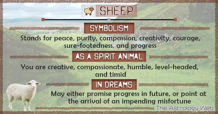 What Does the Sheep Symbolize