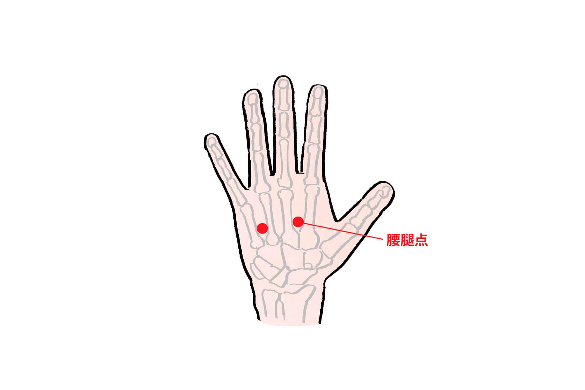 手のひらを押すだけで腰痛激減？驚きの即効ツボと仕事中の緩和術