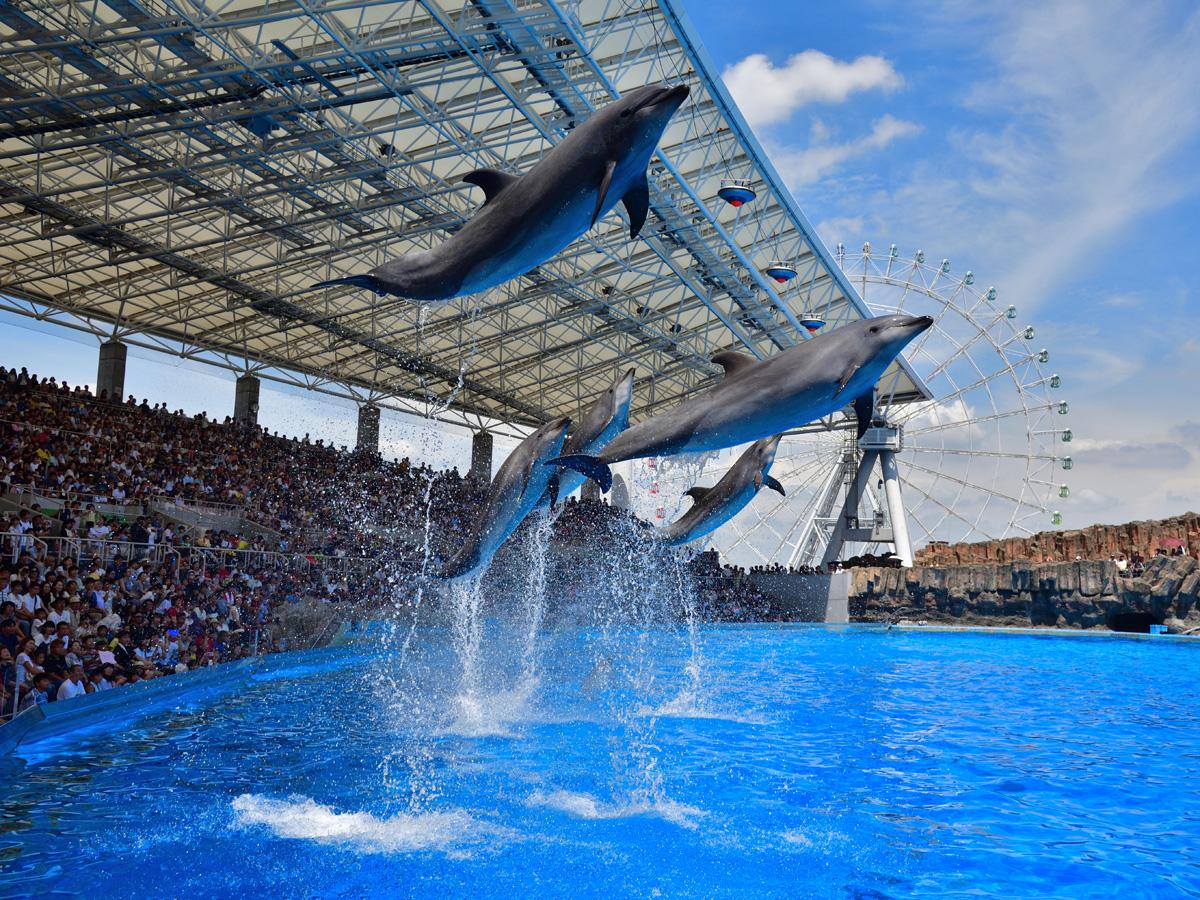 愛知の水族館徹底比較！地元民が推す決定版ランキングと混雑回避術