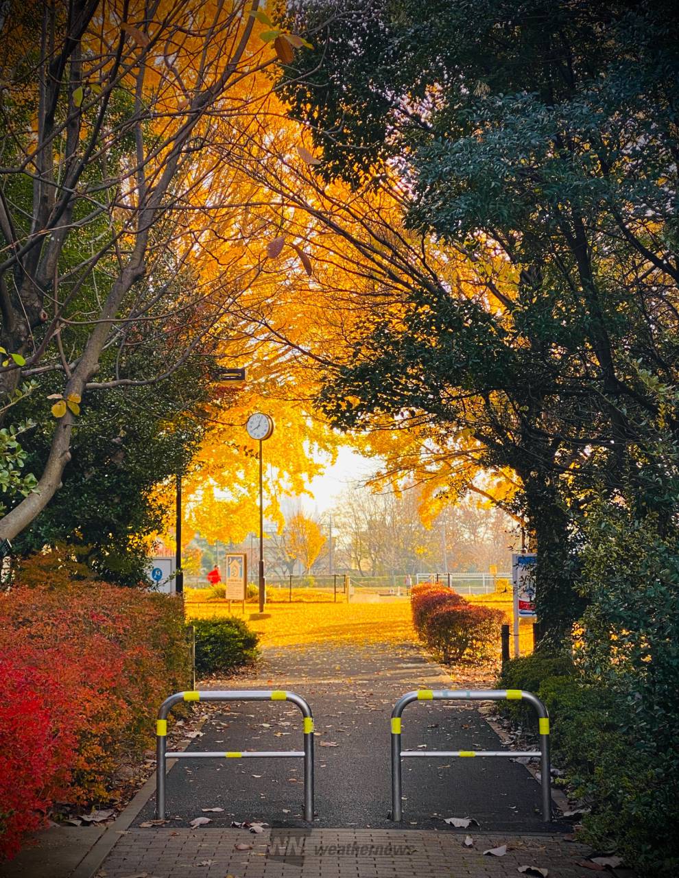 【2026年最新】春の絶景と水辺のリゾートへ！和田公園がいま圧倒的な支持を集める理由と現地リアル取材記