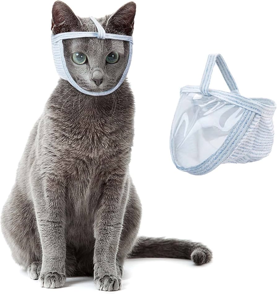 猫用マスクが今選ばれる理由とは？爪切りや通院のストレス激減の真相
