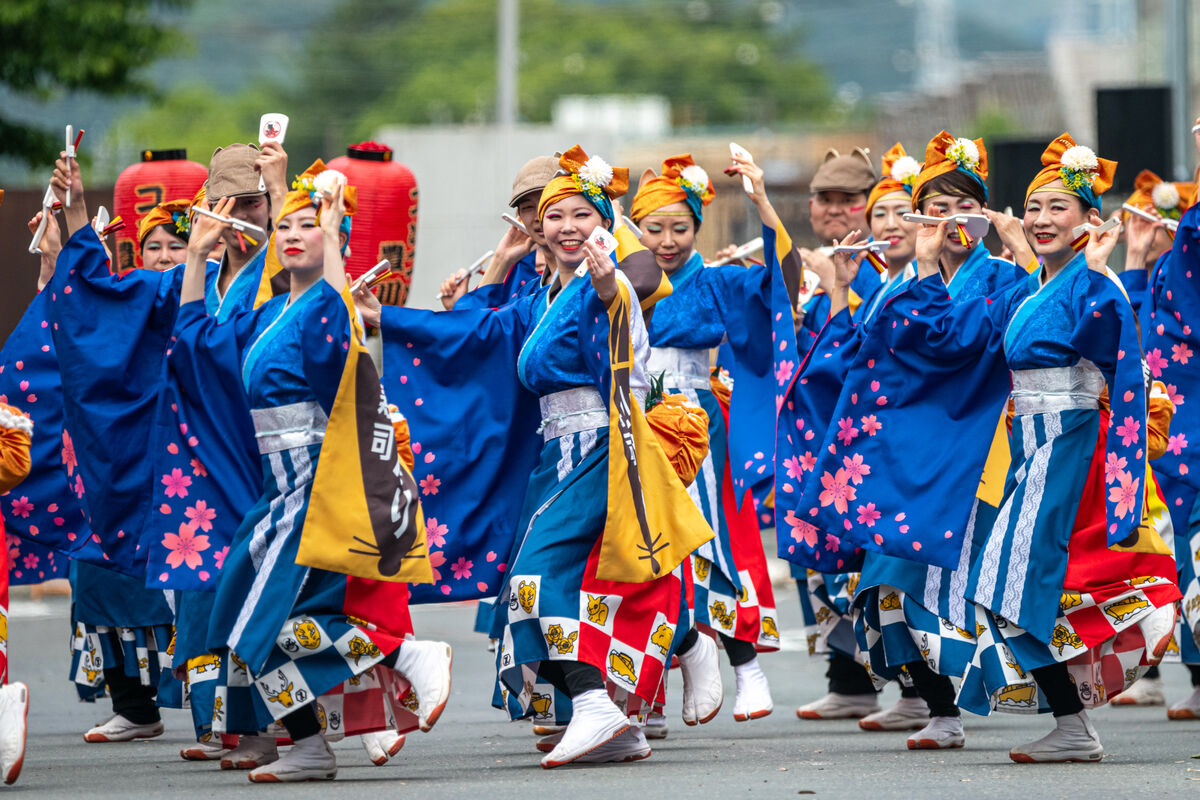豊川おいでん祭2026の全貌！日程・駐車場・見どころ徹底解剖
