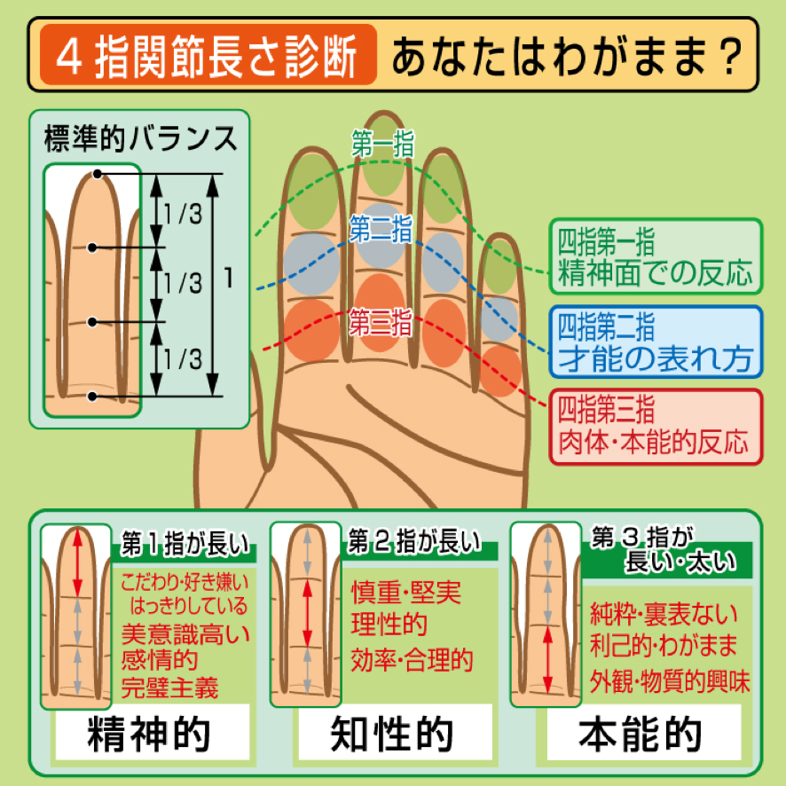 指の長さ平均は男女で何Cm？2D:4D比の真相と正しい測り方【徹底解説】