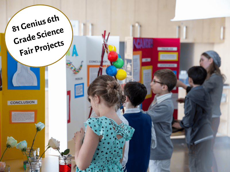 Good Science Fair Topics for 6Th Graders