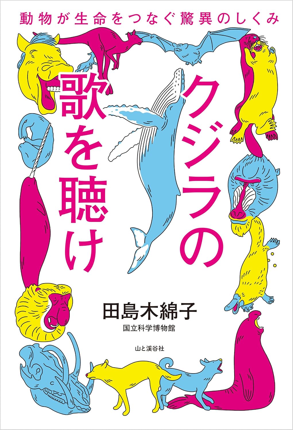 海獣学者・田島木綿子の実像！クジラ解剖にかける情熱と経歴の全貌