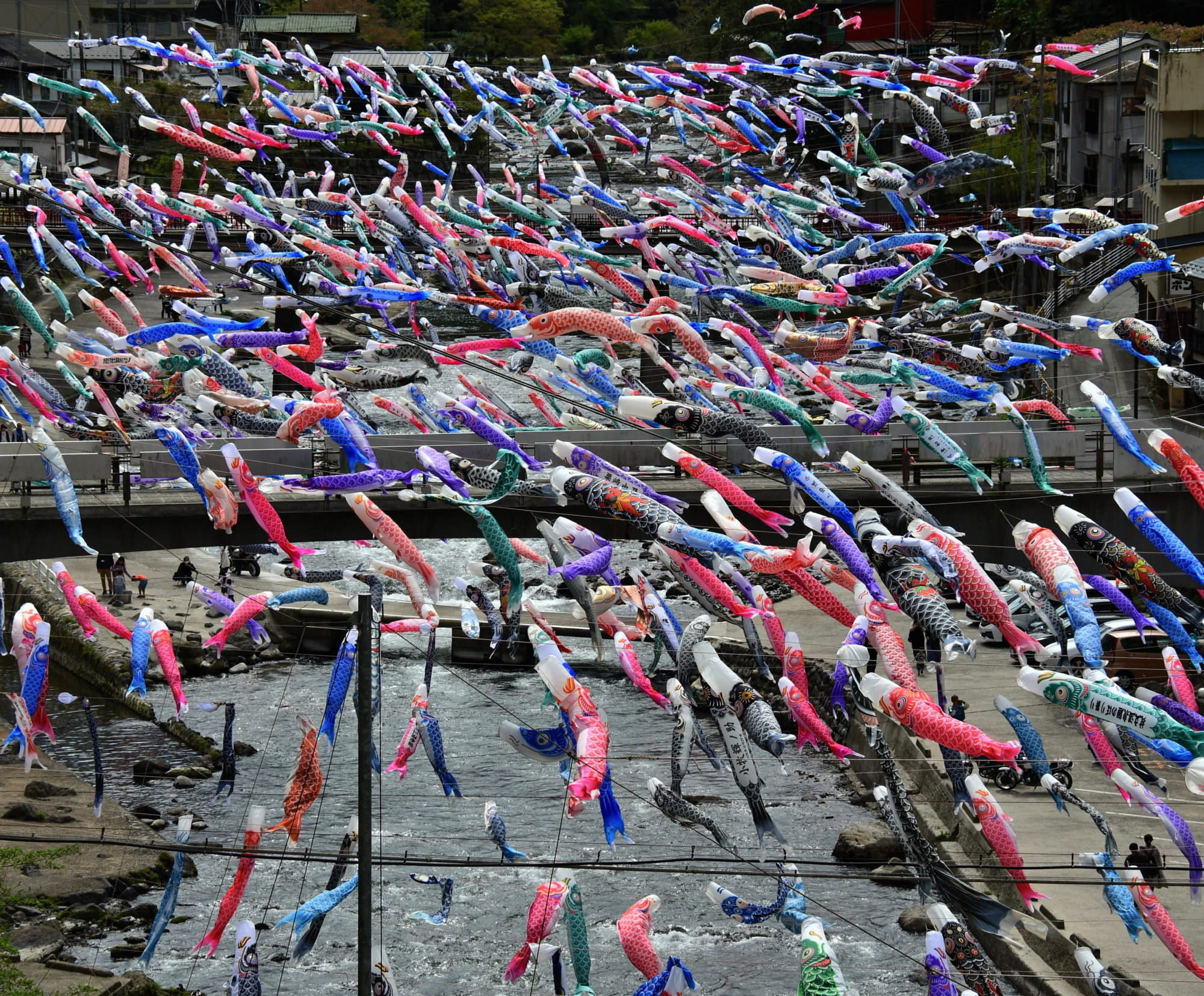 杖立温泉鯉のぼり祭り2026の全貌！なぜ3500匹？混雑回避と穴場
