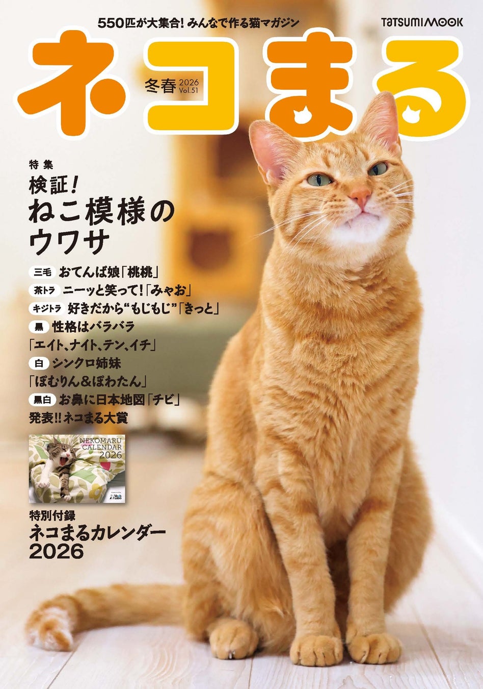 茶トラ猫の性格は甘えん坊？オス・メスの決定差と凶暴化の真相を徹底解剖