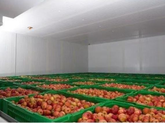 Apples in Cold Storage