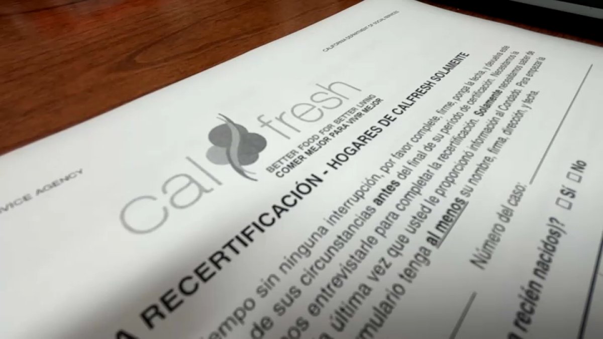 Subir Documentos Calfresh