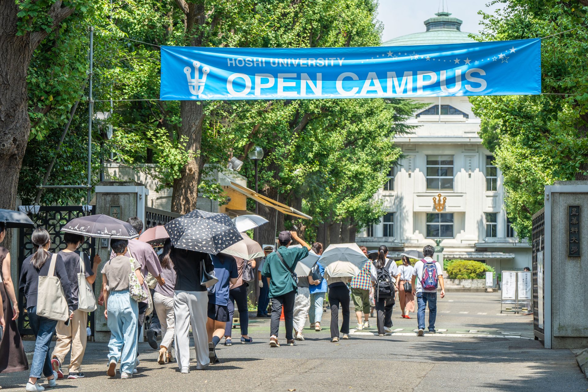 星薬科大学オープンキャンパス2026！日程・予約と見どころを徹底解説