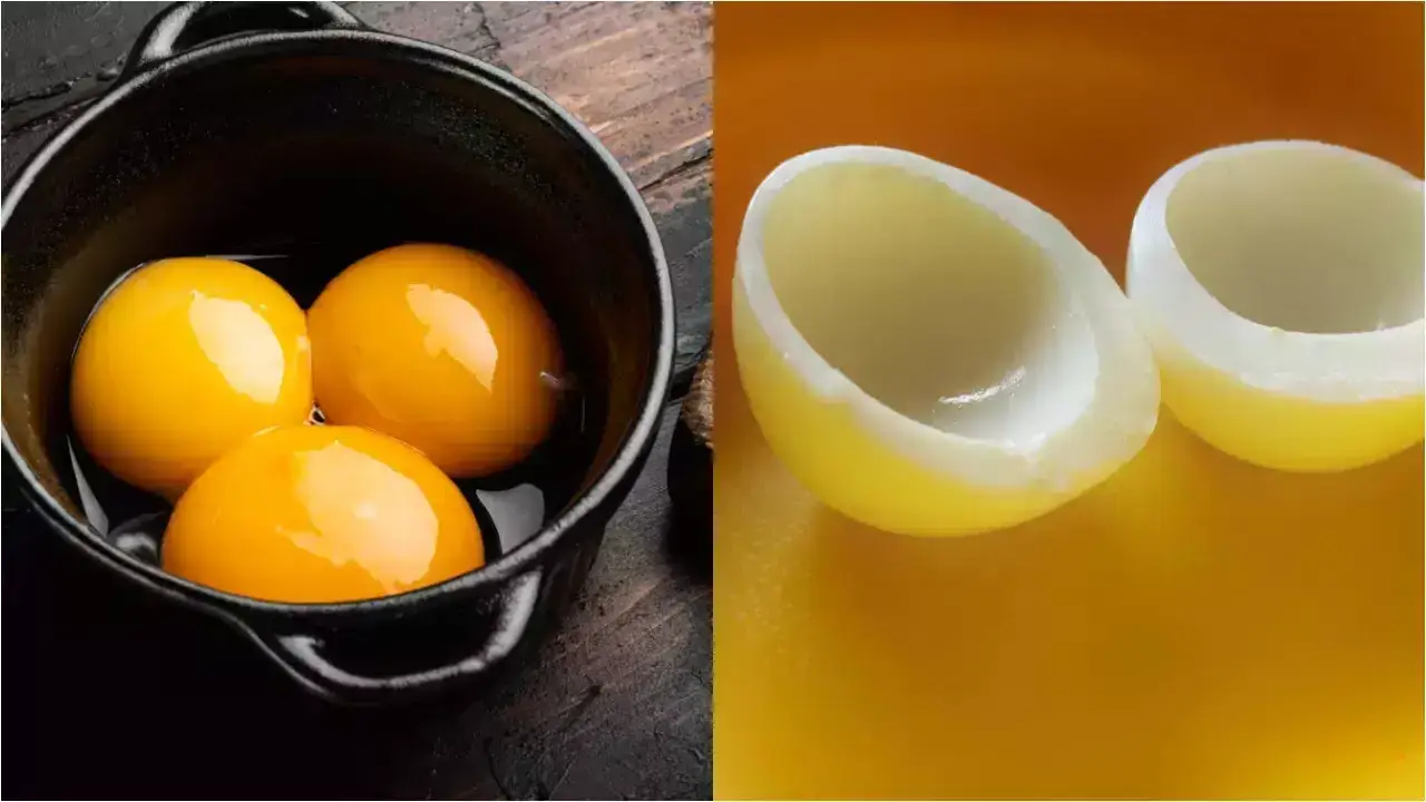 Egg Yolk or Detergent