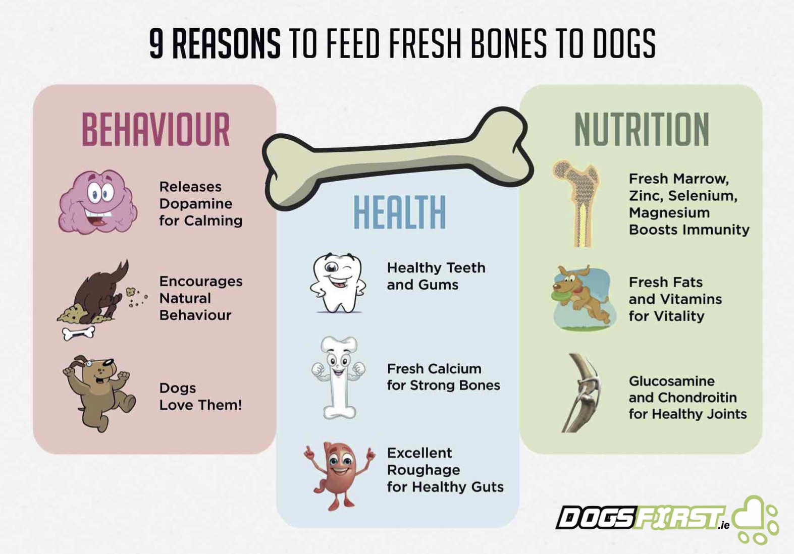 What Kind of Bones Are Good for Dogs