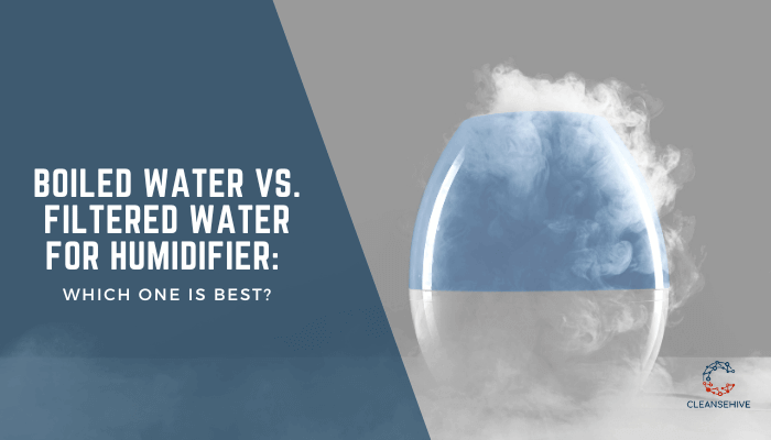 Can I Use Filtered Water in My Humidifier
