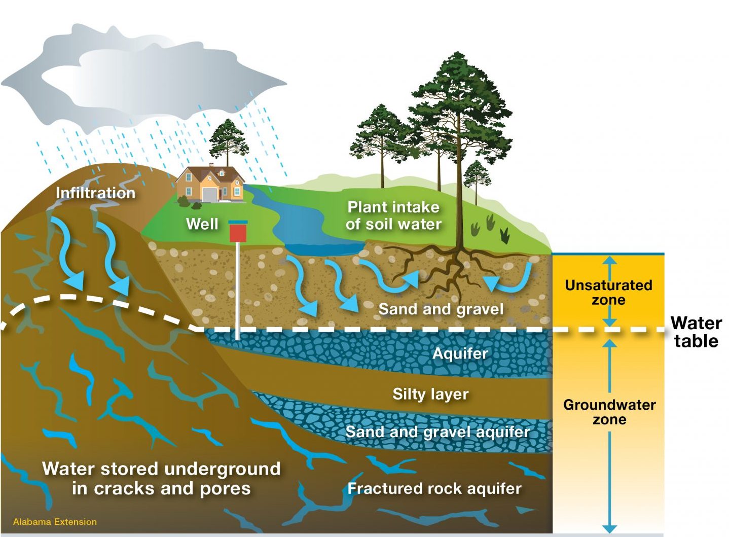 How Does Water Get Underground