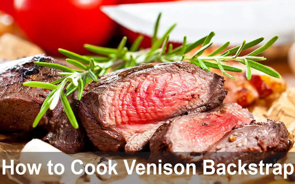 What Are Venison Backstraps
