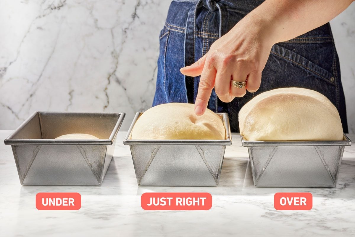 Proofing or Proving Bread