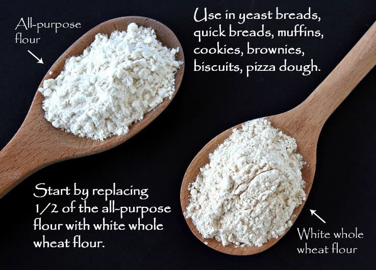 Can You Use Whole Wheat Flour Instead of All Purpose