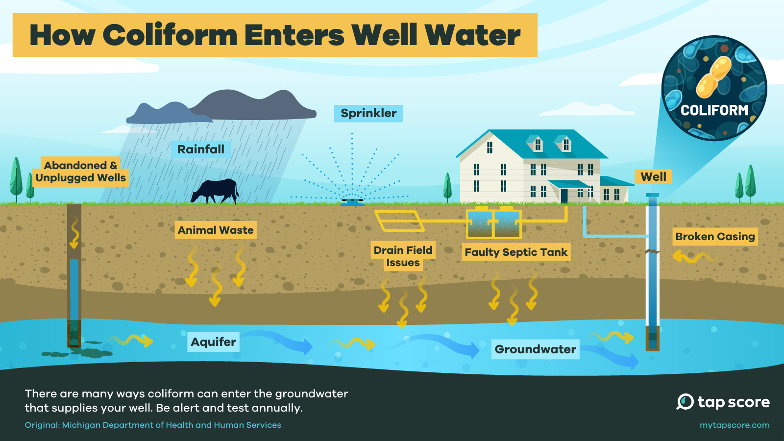 What Is Coliform in Well Water