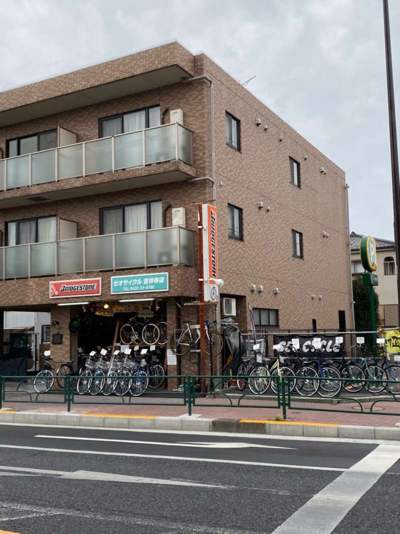 中学生の読書感想文に本当に使える！厳選おすすめ本2026年完全版