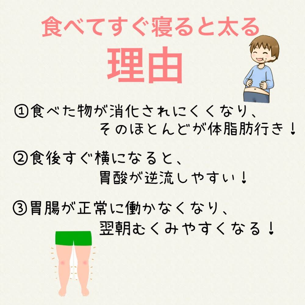 「食べてすぐ寝ると太る」は本当か？2026年の最新科学が明かす「夜食と体脂肪」の真実