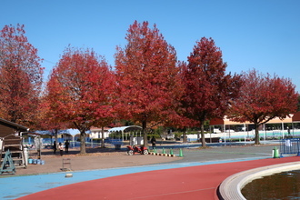 【まとめ】 加須 は な さき 公園 公式インスタ・X最新情報 #879