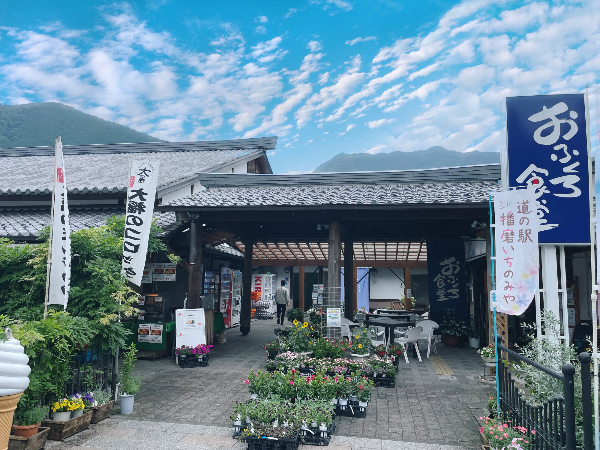 道の駅播磨いちのみや完全解剖！伊和神社直結の絶品グルメと実態検証