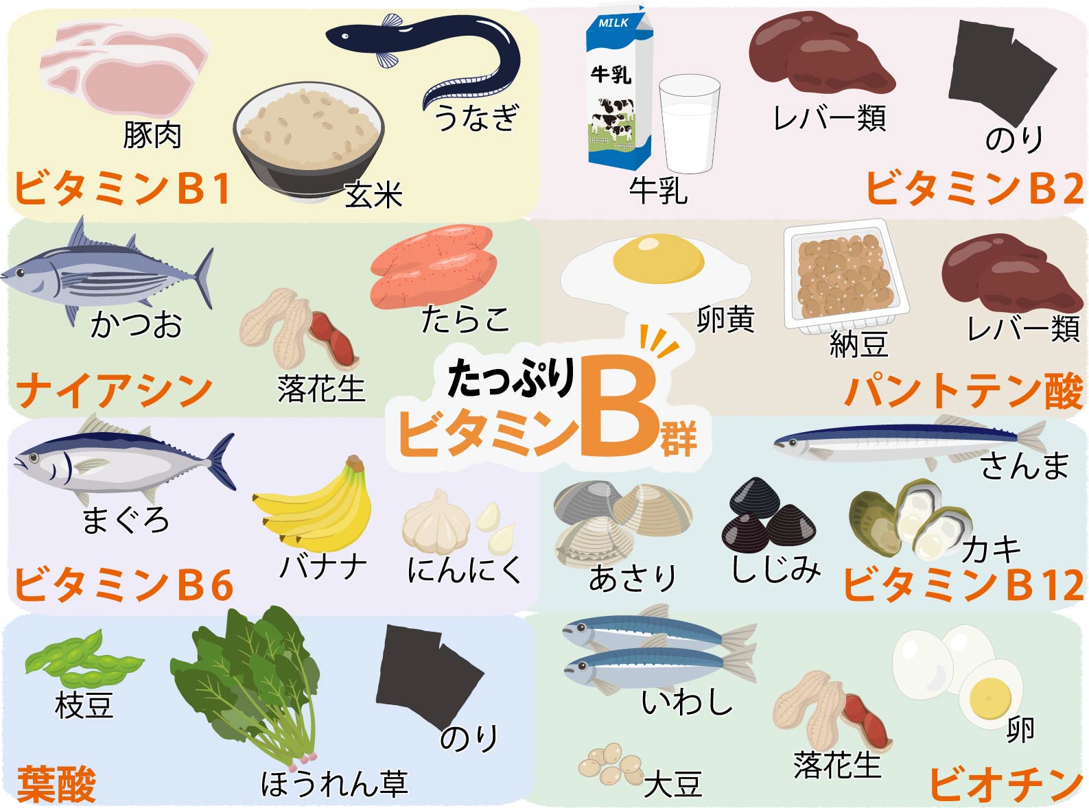 ビタミンB群食材決定版！疲労をリセットする最強食品と最新調理法