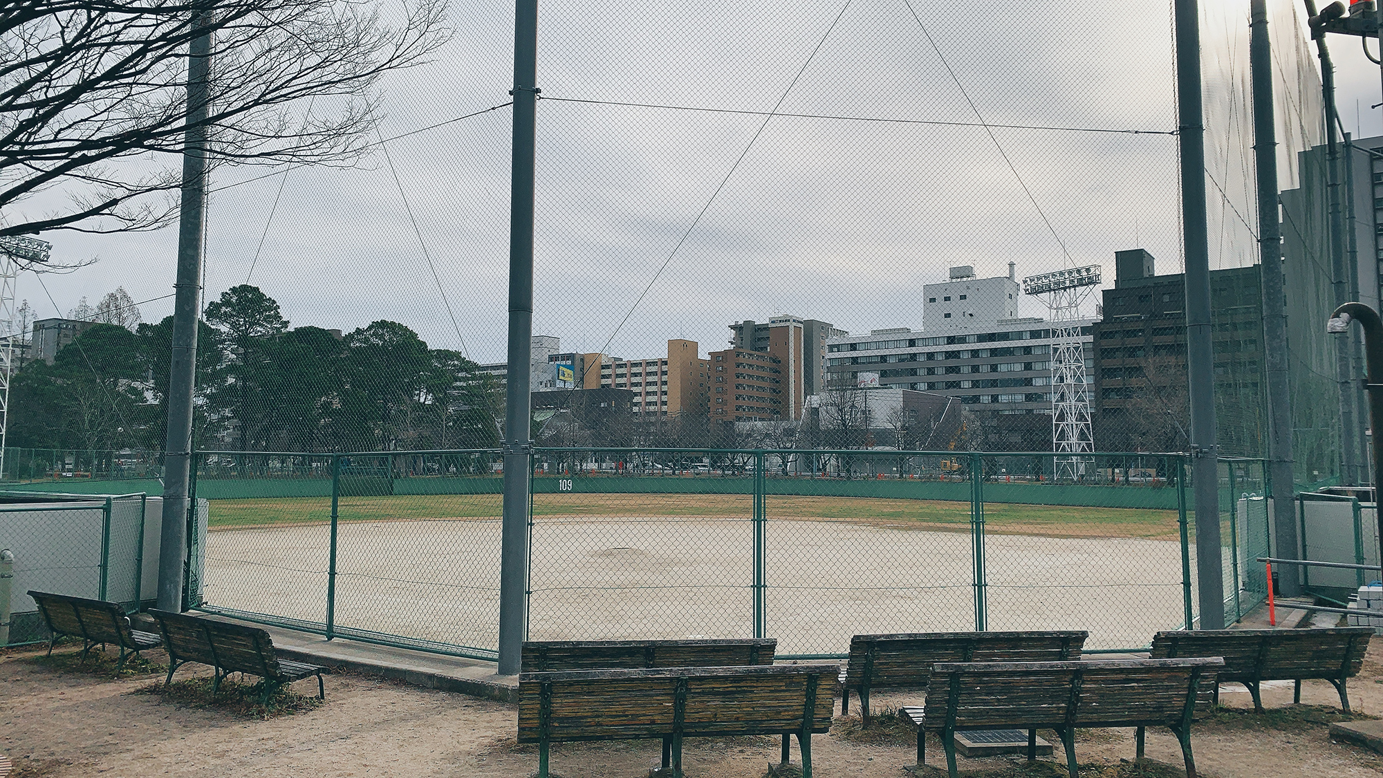 山王公園野球場の予約裏技と料金・駐車場完全攻略【2026年最新】