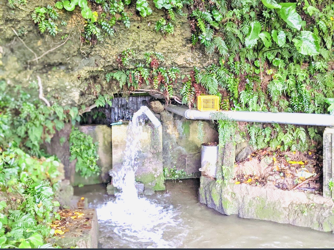 宜野湾市大山が注目を集める理由とは？家具通りと住みやすさの真実