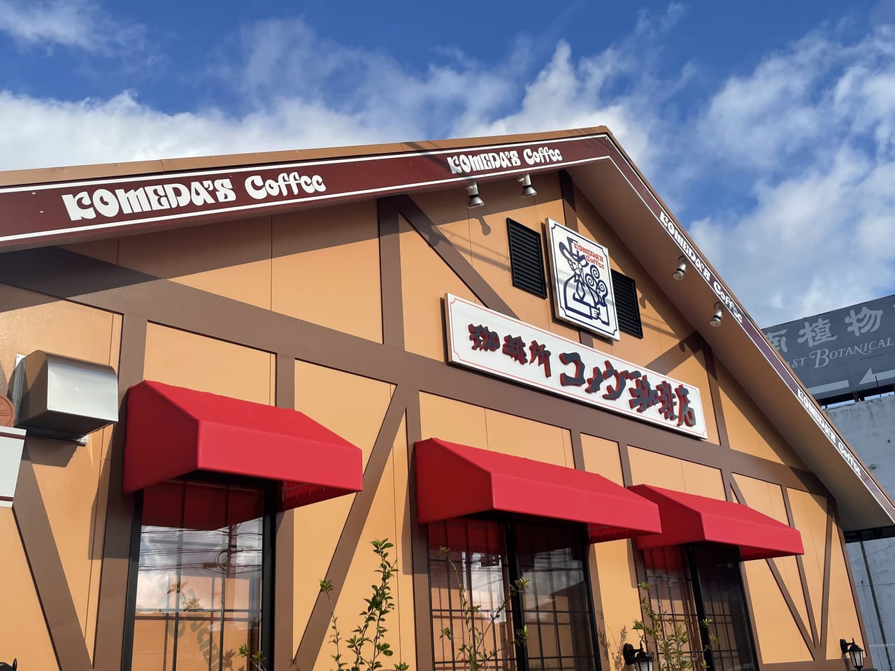 コメダ珈琲宇品店の裏ワザ解禁！混雑回避と限定モーニングの全貌