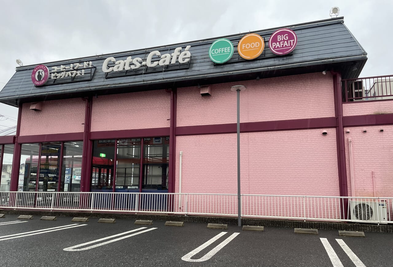 キャッツカフェ閉店理由の真相｜巨大パフェ名店の激減と2026年現在