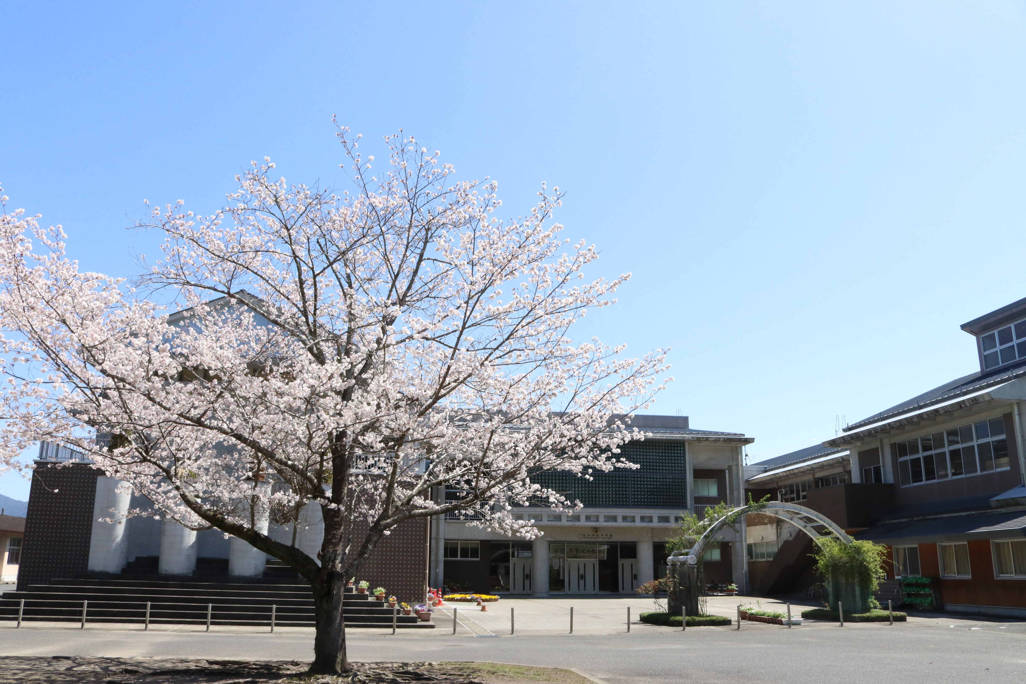 大口中央中学校の評判と現在の様子は？話題の真相と2026年最新事情