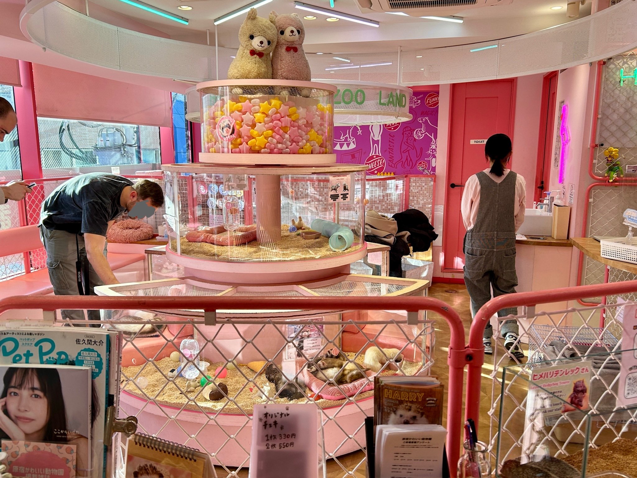 原宿かわいい動物園の評判は？料金や予約・混雑回避のコツを徹底解説