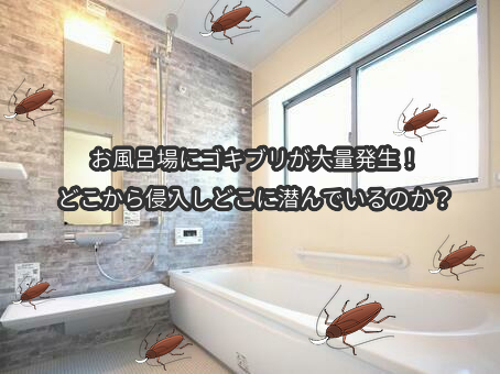 【インスタ画像】 風呂 場 に ゴキブリ 公式インスタ・X最新情報 #989