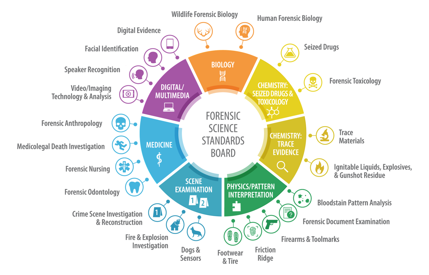 Sub-Disciplines of Image Forensics