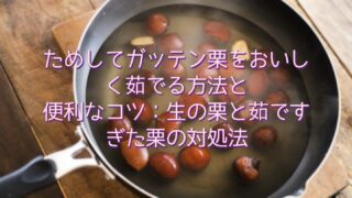 【2026最新】 ためして ガッテン 栗 の 茹で 方 徹底解説＆真相まとめ #678