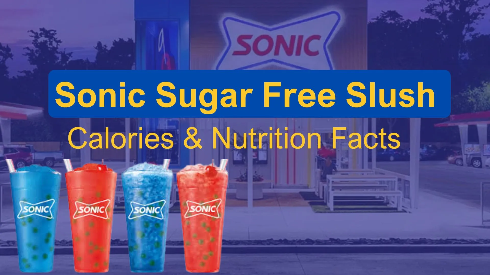 Sonic Slush Sugar Free