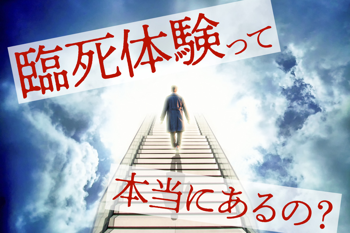臨死体験とは何か？脳科学と蘇生医療が暴いた「死の淵の光」の正体