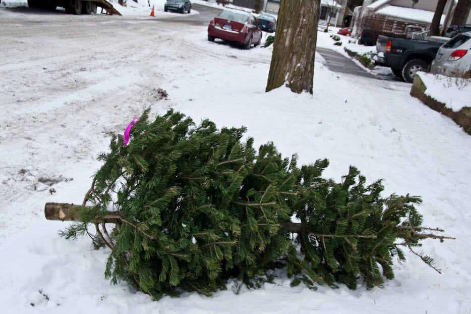 Is It Bad Luck to Take Christmas Tree Down Early