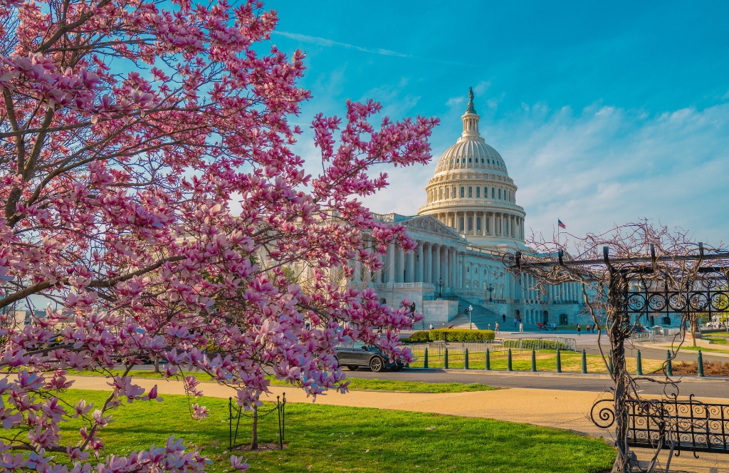 Where Is Good to Go in April
