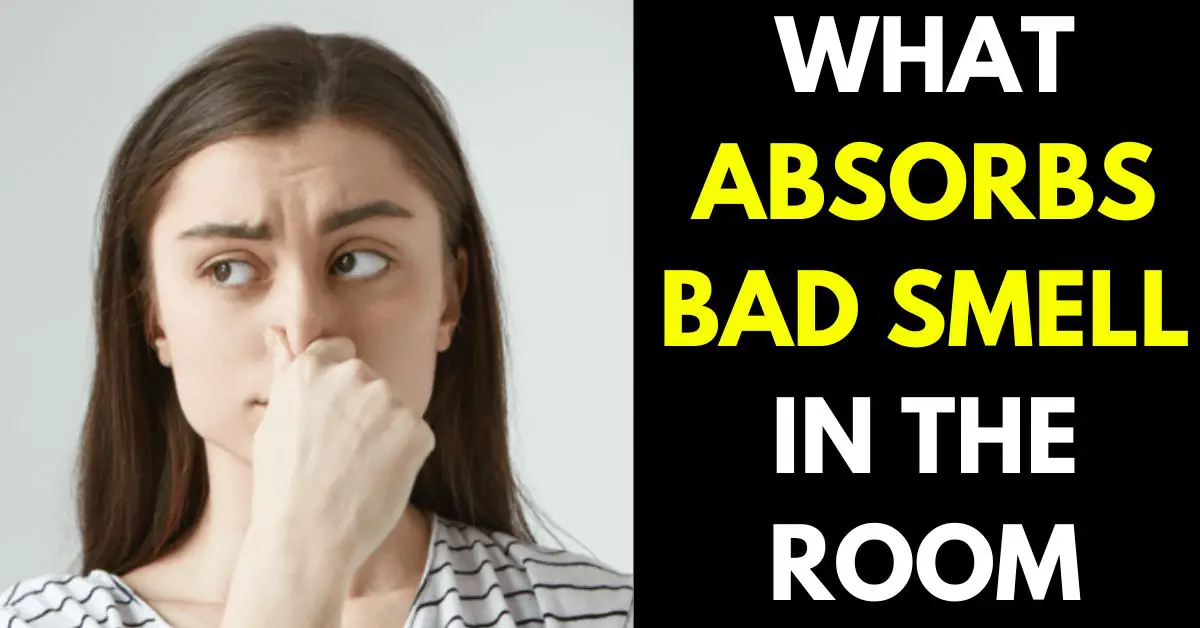 What Absorbs Bad Smells